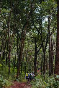 BIB: 
                            <button type="button" onclick="openModal(22790097)" class="btn btn-primary btn-sm float-right btn-popup" data-toggle="modal" data-target=".modal-high-quality">
                        <i class="fas fa-shopping-cart"></i> Add to Cart
                    </button>
                                            <button type="button" onclick="isThisMe(22790097, true)" class="btn btn-success btn-sm float-right btn-popup btn-isme hidden" data-toggle="tooltip" data-placement="bottom" title="นี่คือรูปของคุณใช่ไหม คลิกที่นี่เพื่อเอาเข้าอัลบั้ม">
                        <i class="fas fa-plus"></i> Add to album
                    </button>
                    <button type="button" onclick="isThisMe(22790097, false)" class="btn btn-warning btn-sm float-right btn-popup btn-isnotme hidden">
                        <i class="fas fa-ban"></i> Remove from album
                    </button>